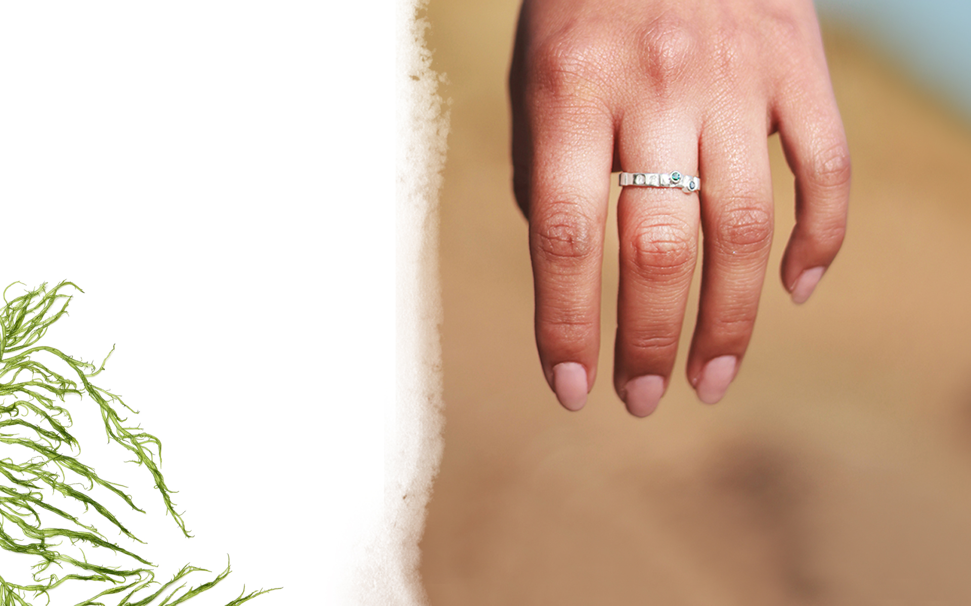 Banner Spring Tides Offer 2026