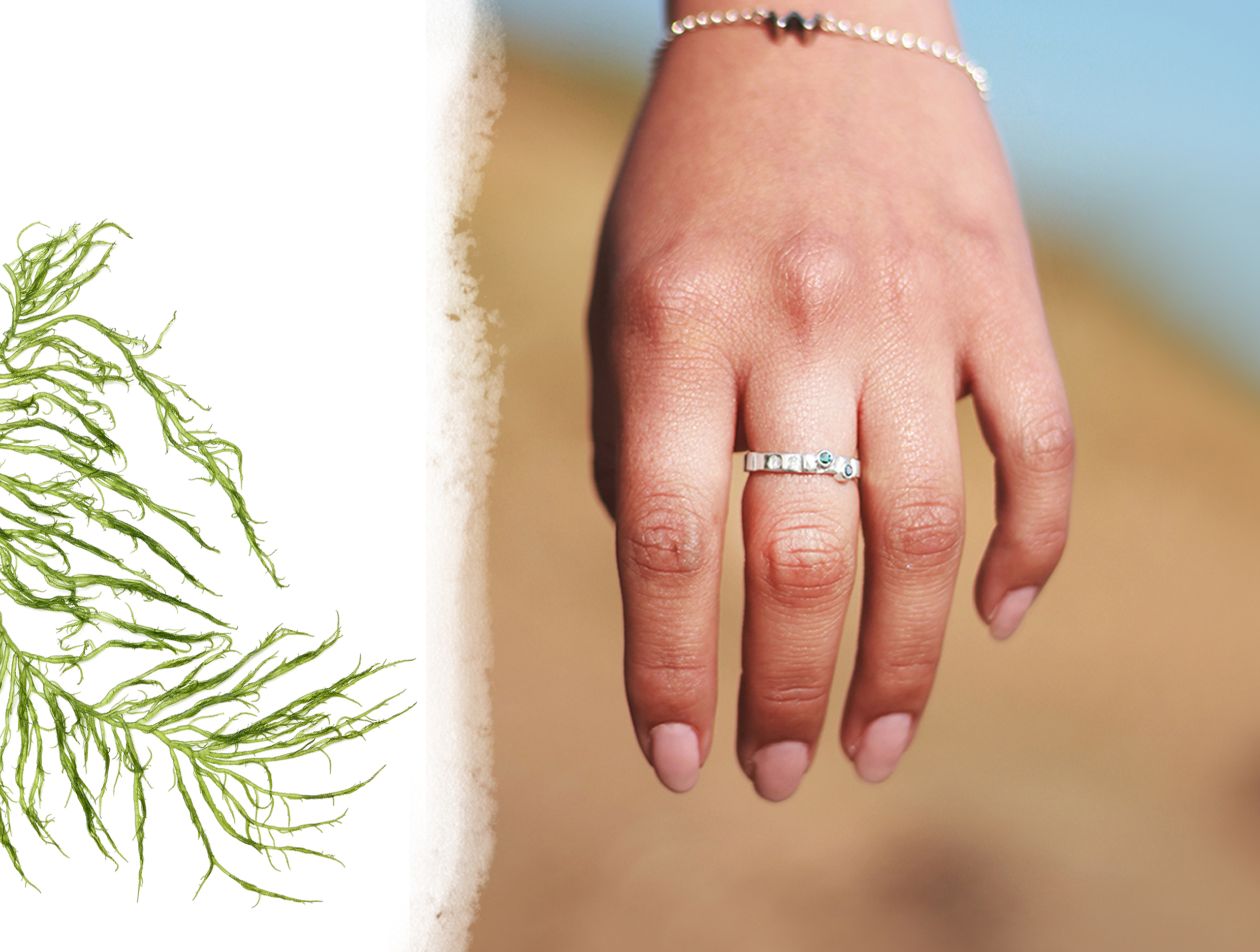 Banner Spring Tides Offer 2026 Mobile